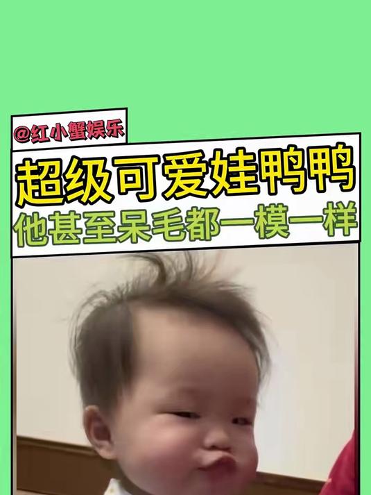 呆毛都一模一样