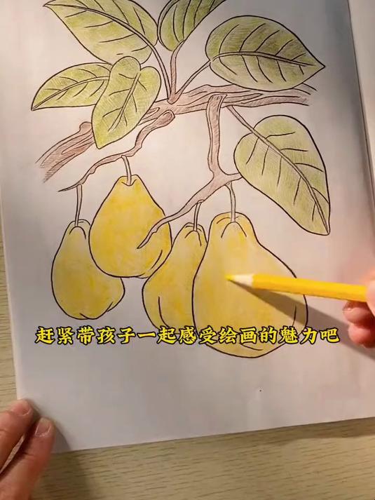 线描临摹画册 儿童卡通简笔画线稿绘画描线控笔图画本#线描绘画