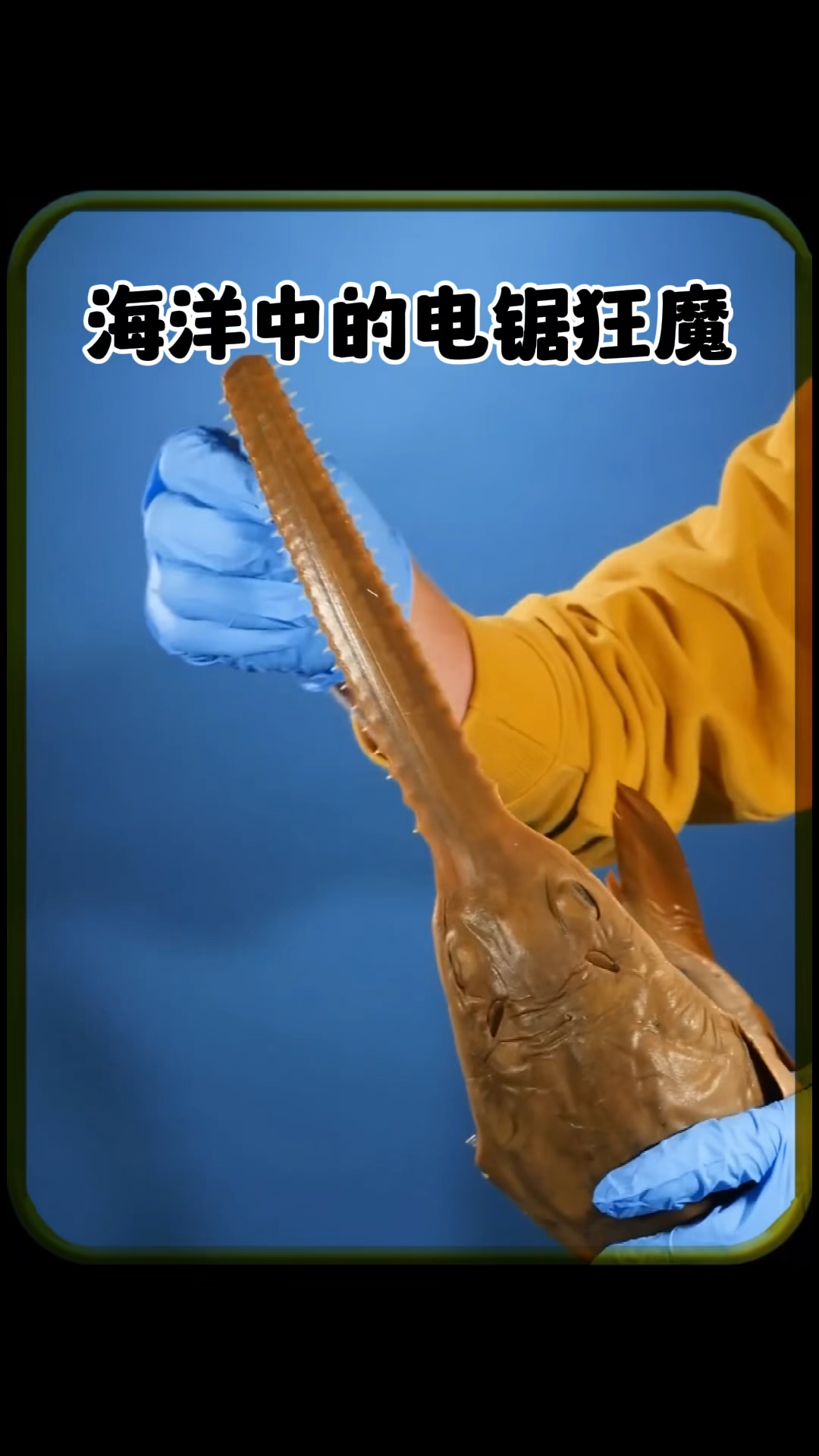 海洋中的电锯狂魔