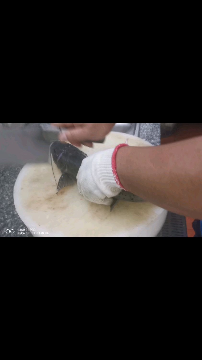 蒜子香焖西江魽鱼