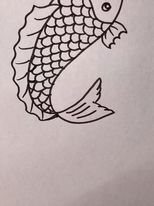 简笔画鲤鱼 一看就会