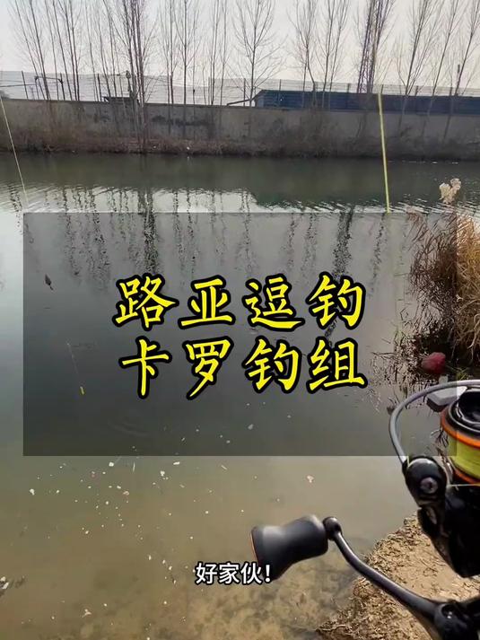 玩路亚拖钓鲫鱼再也不必东拼西凑,到手连接路亚竿就能直接钓鱼