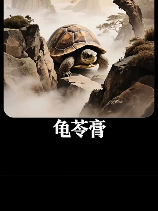 龟苓膏真的是乌龟壳做的吗?