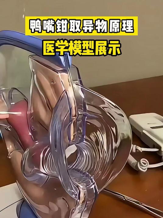 鸭嘴钳,取异物模拟 鸭嘴夹 妇科