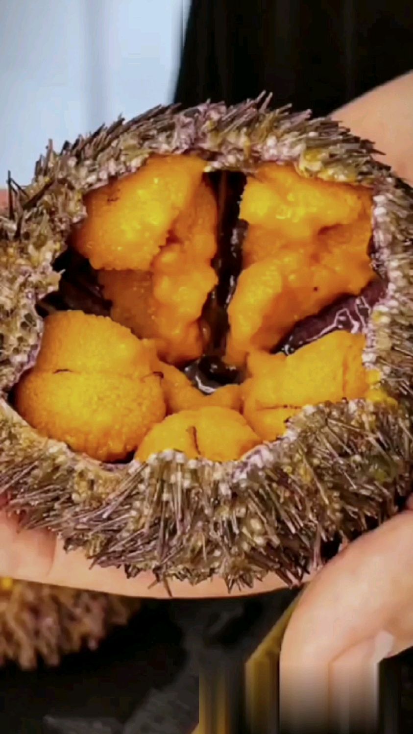 寿司海胆海苔饭