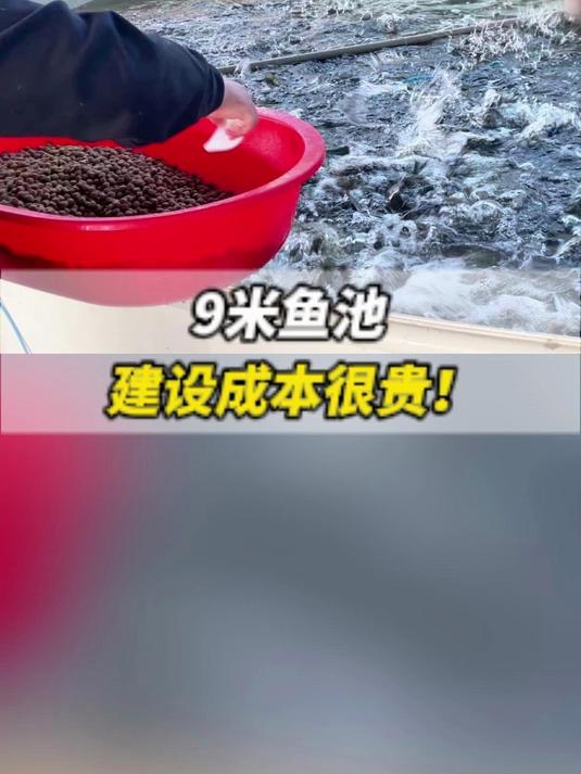 9米鱼池建设成本很贵!
