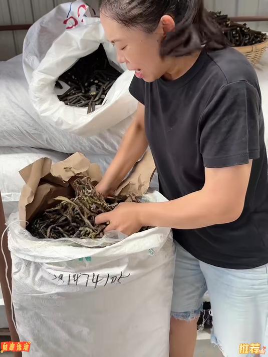 海茸丝是一种海藻是小炒还是凉拌口感都是脆脆的吃起来清爽好下饭