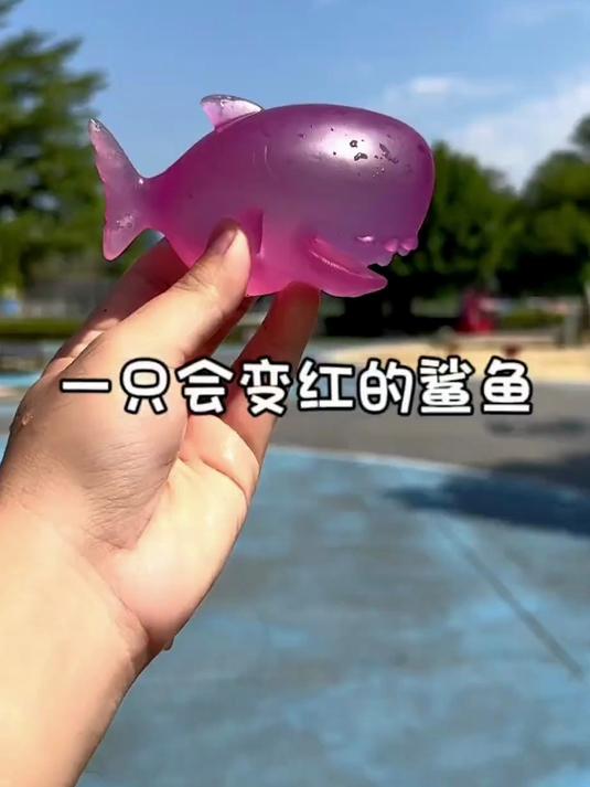 洗干净了竟是个会变色的鲨鱼