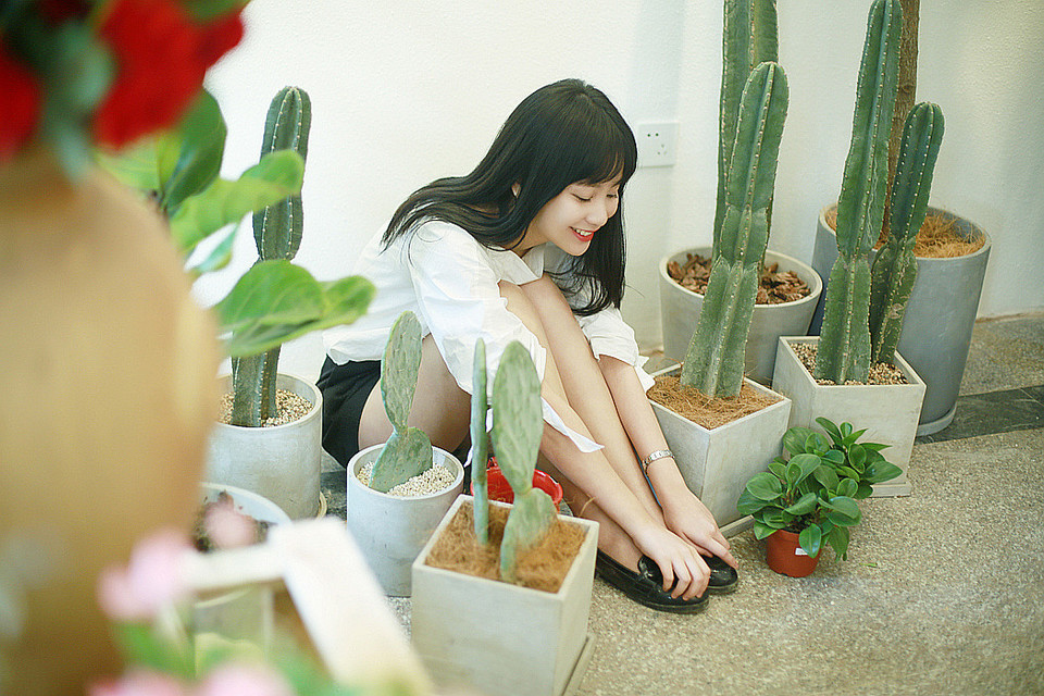 图片[12]-花店姑娘-六色网