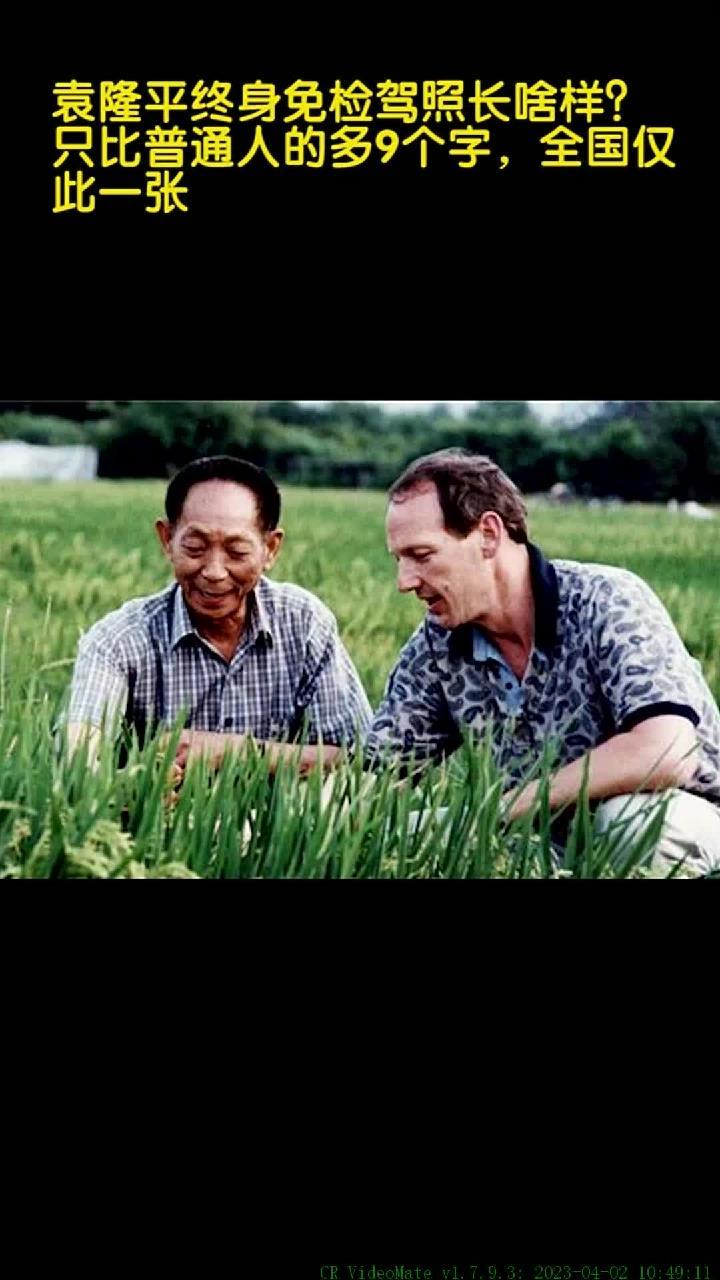袁隆平终身免检驾照长啥样?只比普通人的多9个字,全国仅此一张