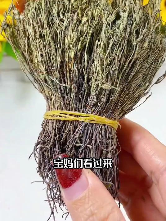 这汤绝了!独脚金瘦肉汤喝出清爽体态