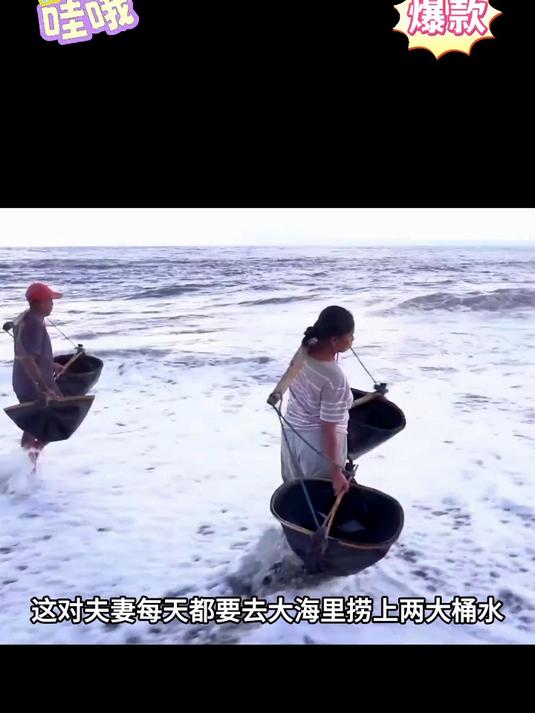 流油的海鸭蛋,你吃过吗?口感细腻,入口即化,太美味了