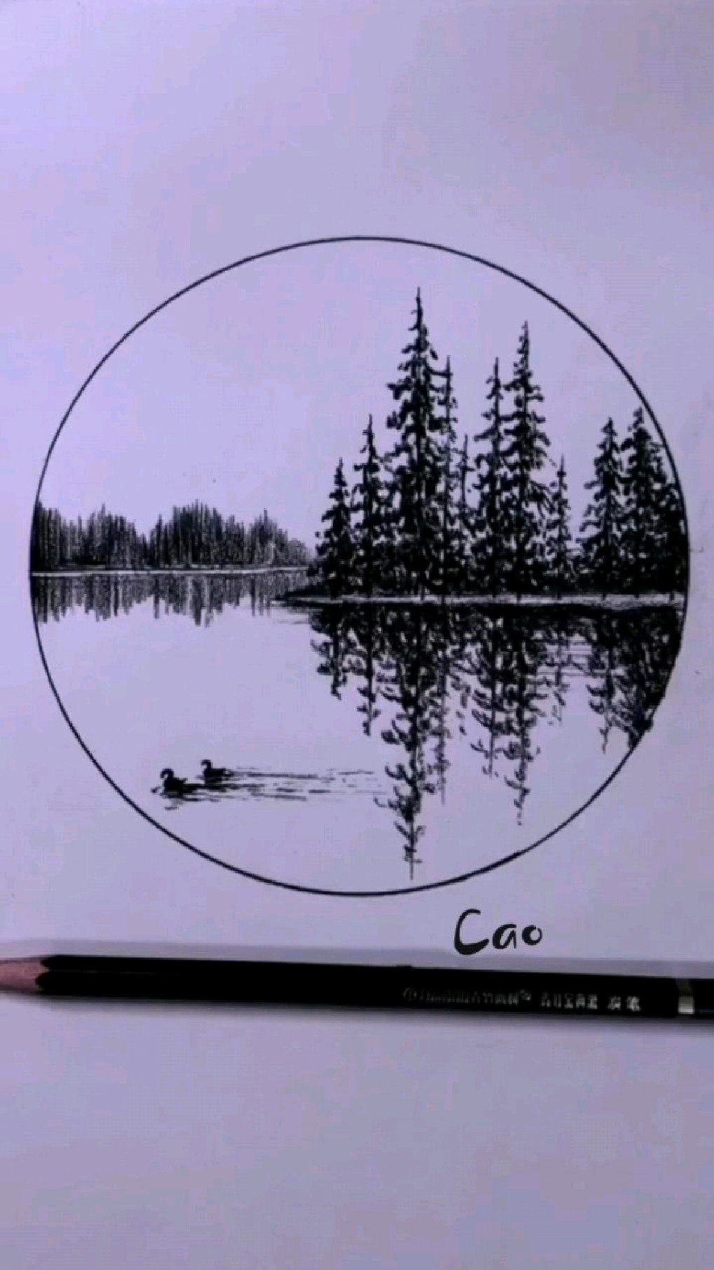 简笔画:教大家画小河里的水鸭