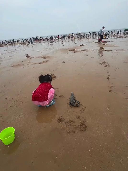 全世界最幸福的小鳄鱼“小鳄鱼海边历险记” #人类幼崽##异宠#