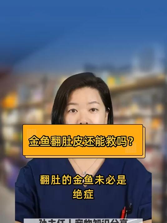 金鱼翻肚皮还能救吗?