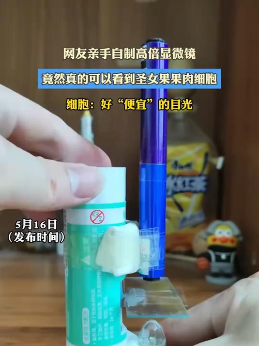 网友亲手自制高倍显微镜,竟然真的可以看到圣女果果肉细胞