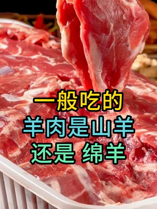 一般吃的羊肉是山羊还是绵羊