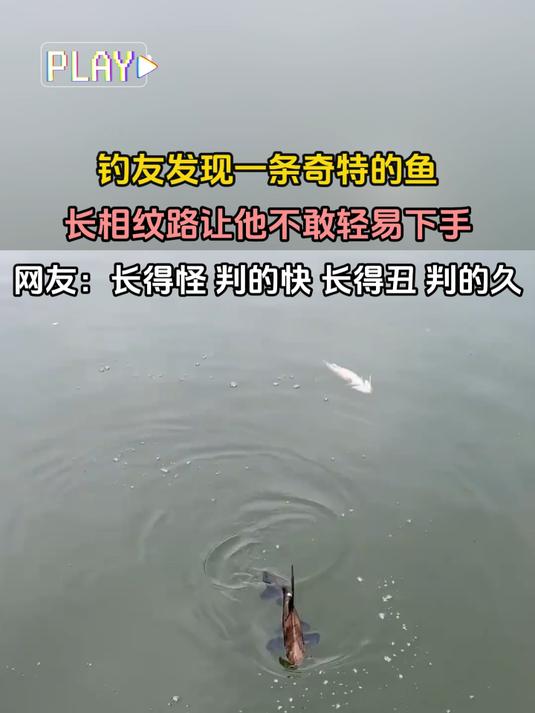 钓友发现一条奇特的鱼,长相纹路让他不敢轻易下手