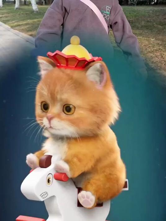 汤姆猫 可爱动漫