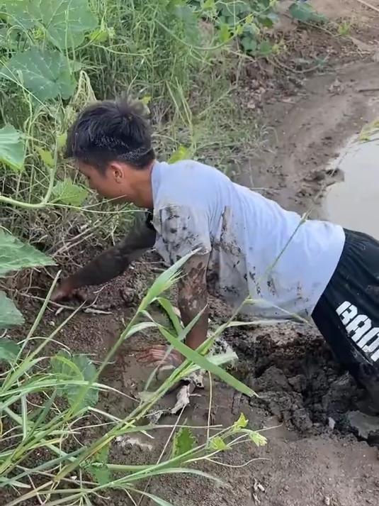 没想到这个小小鱼塘里鳝鱼洞都还挺大的 大家快来看看吧