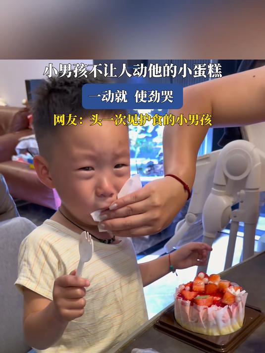 小男孩不让人动他的小蛋糕,一动就使劲哭
