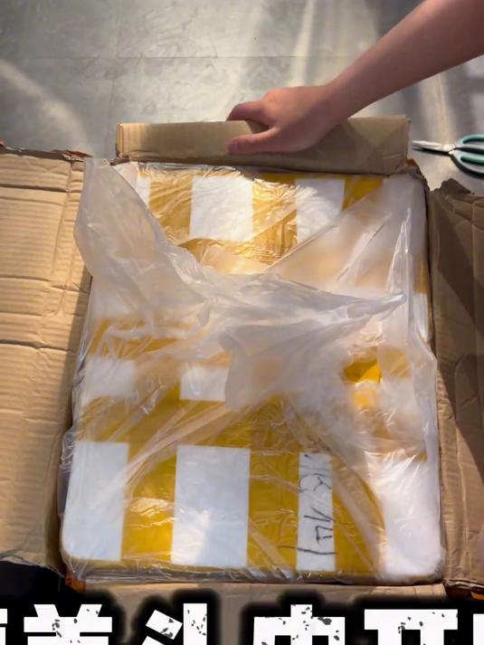 时隔三年再次养真蛸然后……