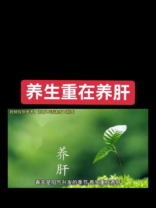 养生就是养健康,春季养生重在养肝,可以多吃这些食物