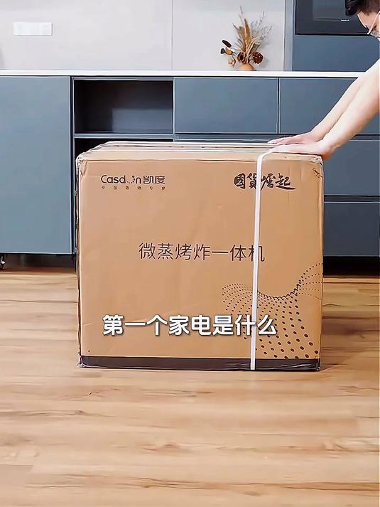 凯度(CASDON)「双热风」56L蒸烤箱一体机嵌入式 家用 烘焙蒸箱 烤箱 蒸烤炸炖四合