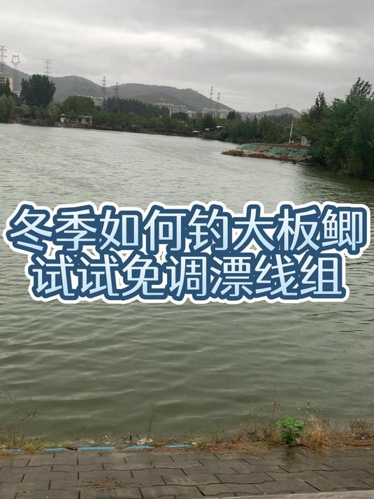 冬季如何钓大板鲫,试试这款免调漂线组,给你不一样的体验
