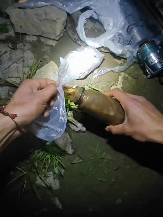 钓鲶鱼用臭鱼,诱鱼又钓鱼