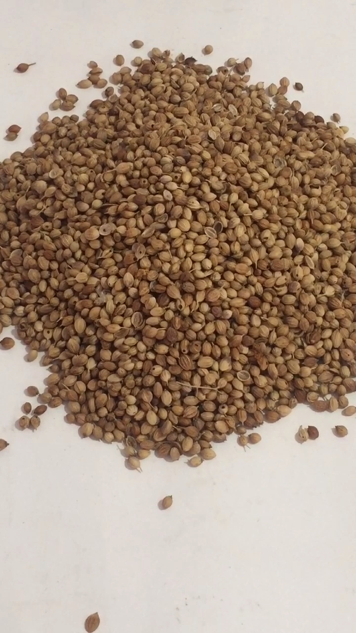 香菜籽有什么作用?它和什么辛香料搭配更出味?