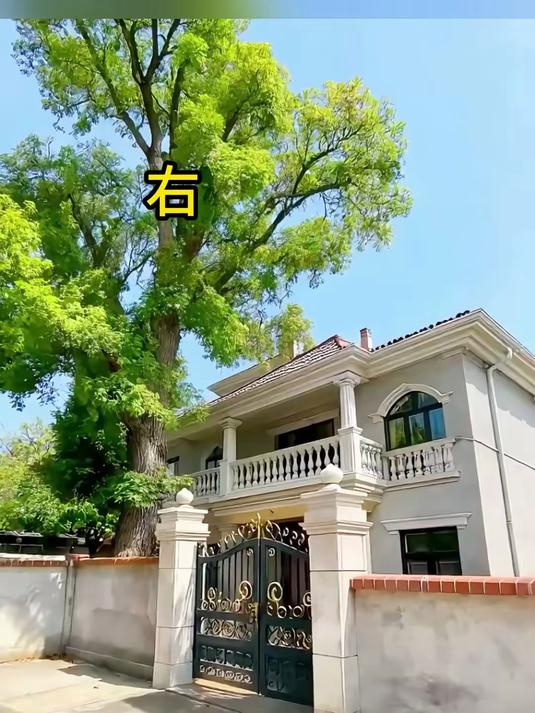农村自建房院子