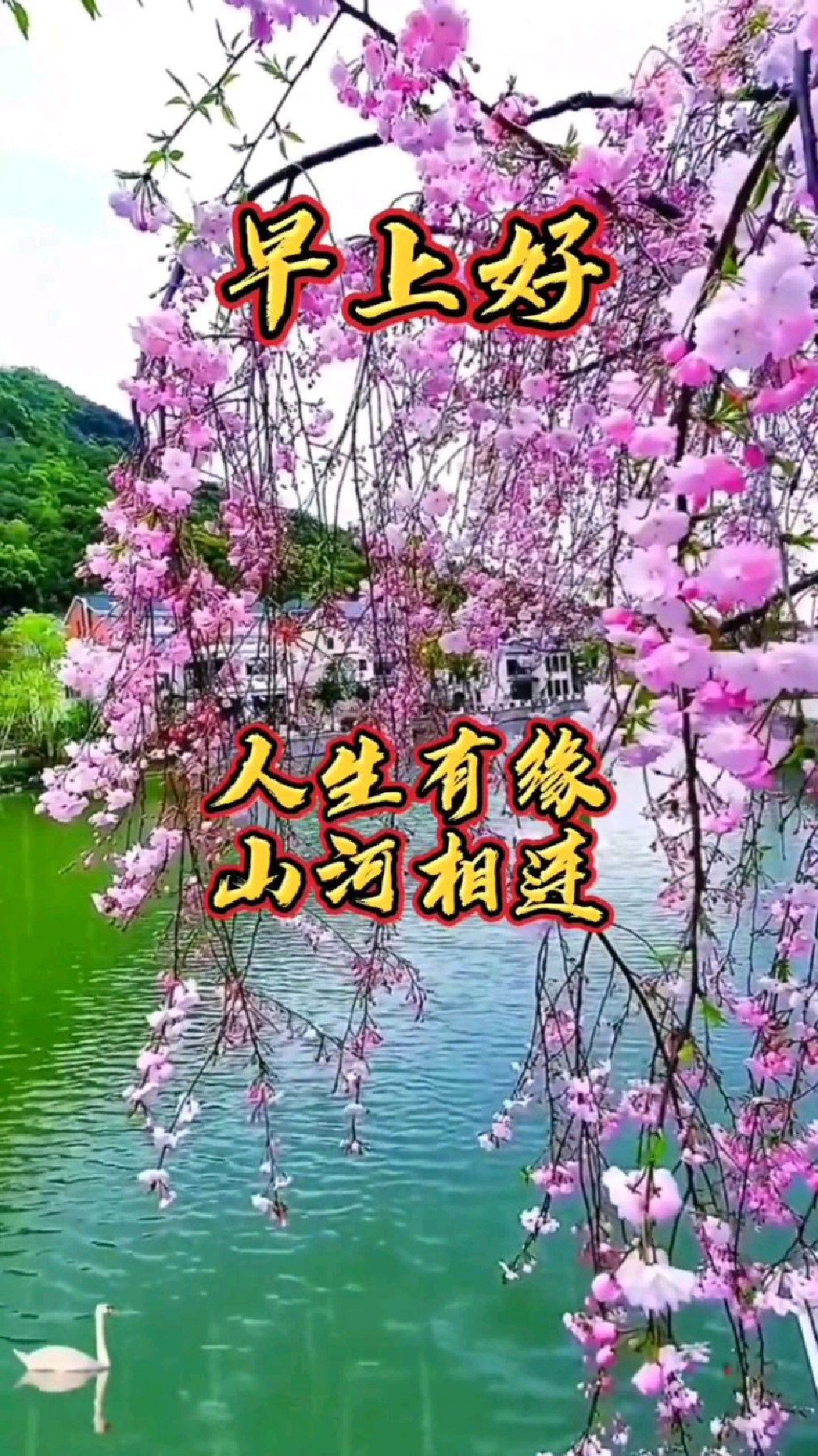 美丽的风景,早上好问候语,送上一份暖心祝福