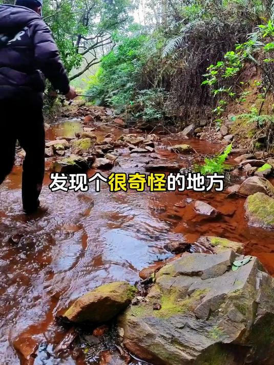 山上探钓遇到奇怪的事 彩虹雷龙 南鳢