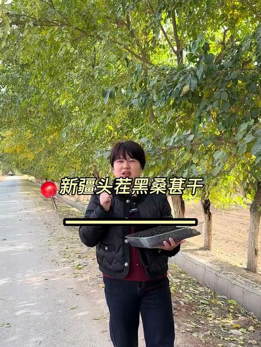 黑豆黑米黑芝麻黑枸杞 黑桑葚干是“大哥”