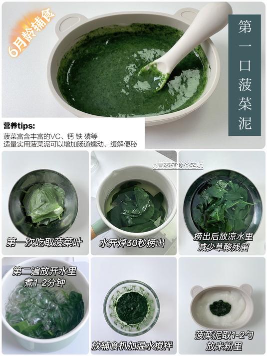 6月龄辅食—第2集 第一口菠菜泥