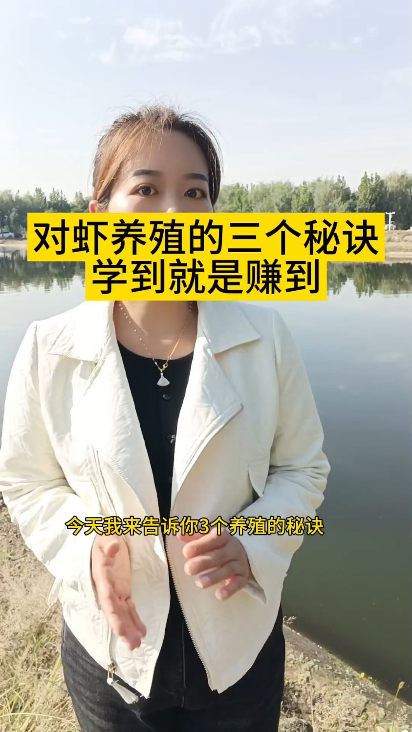 对虾养殖的三个秘诀