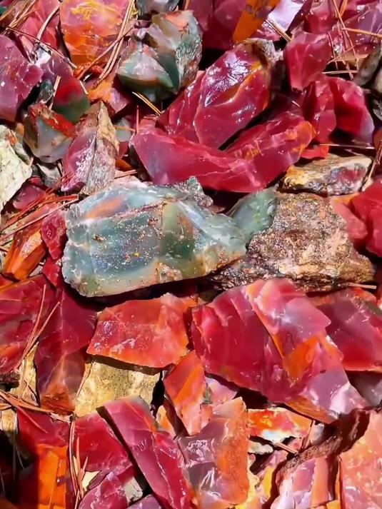 这样的石头你见过吗？