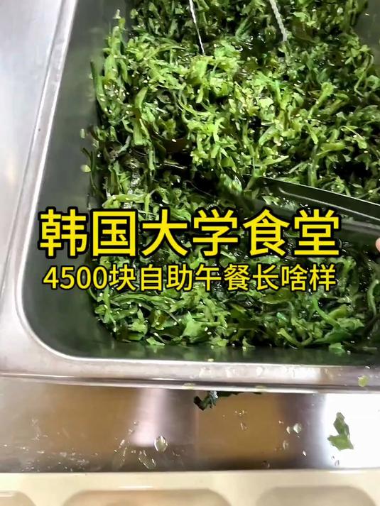韩国大学食堂4500块自助午餐长啥样?