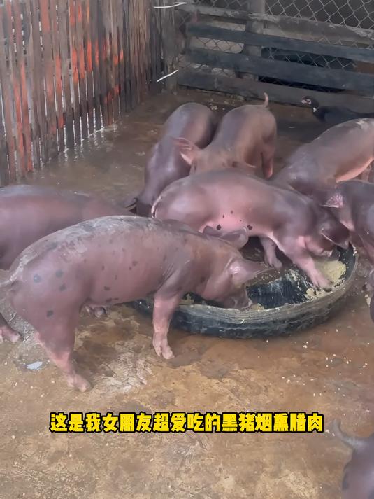 自制烟熏腊肉,春节家宴的亮点,香味与团圆同在!