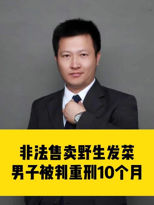 非法售卖野生发菜,男子被判重刑10个月