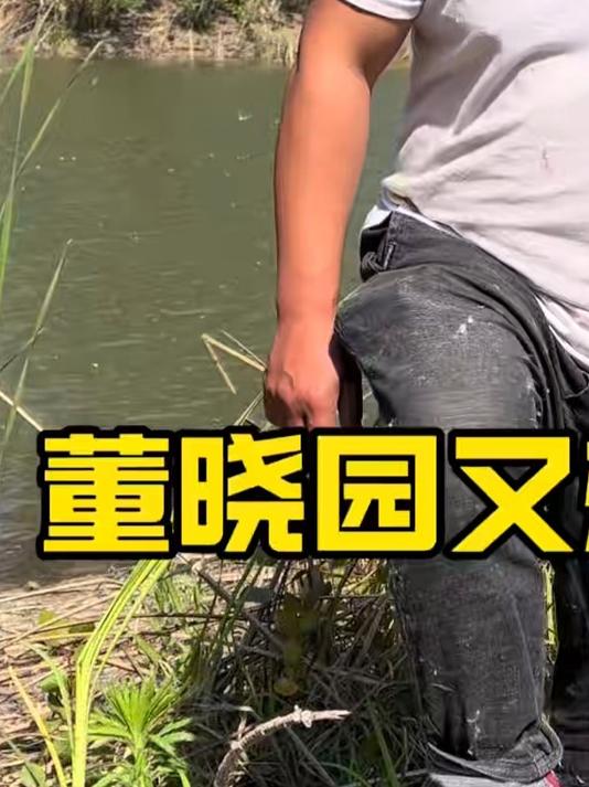 今天算是证明我说的了就是野鸭子，国家二级保护动物，咱不碰它，不过鱼钓的挺多