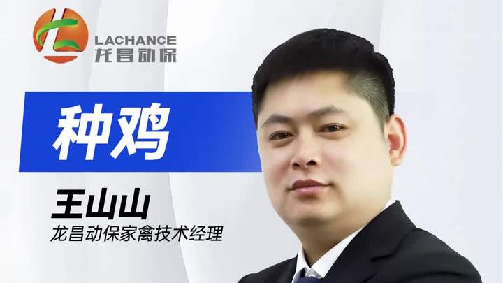 胆汁酸助力种鸡场打造好口碑,提高孵化率&健雏率