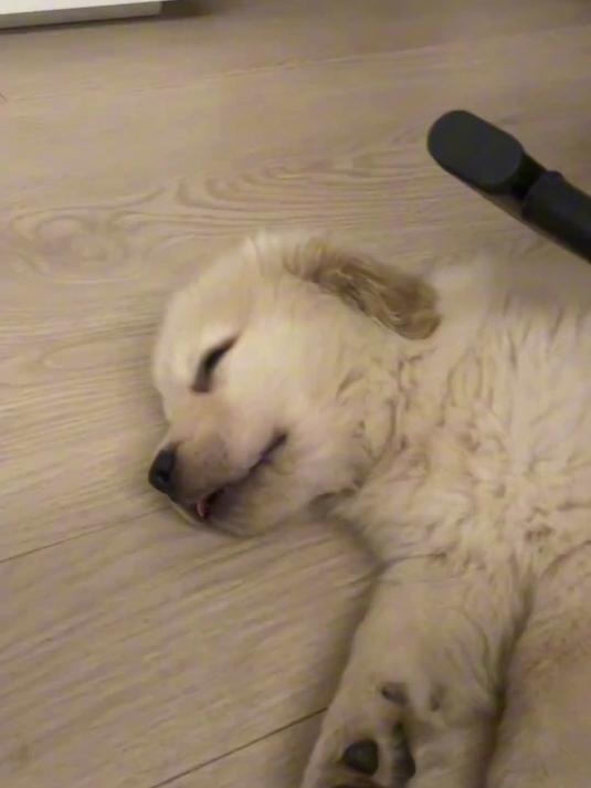 这是梦见吃啥好吃的了