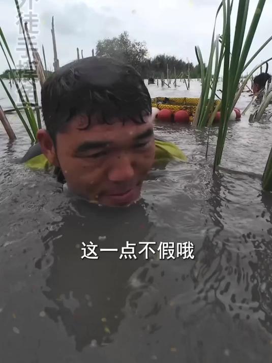 并不是兄弟们有多么喜欢看我们摸鱼！「上」