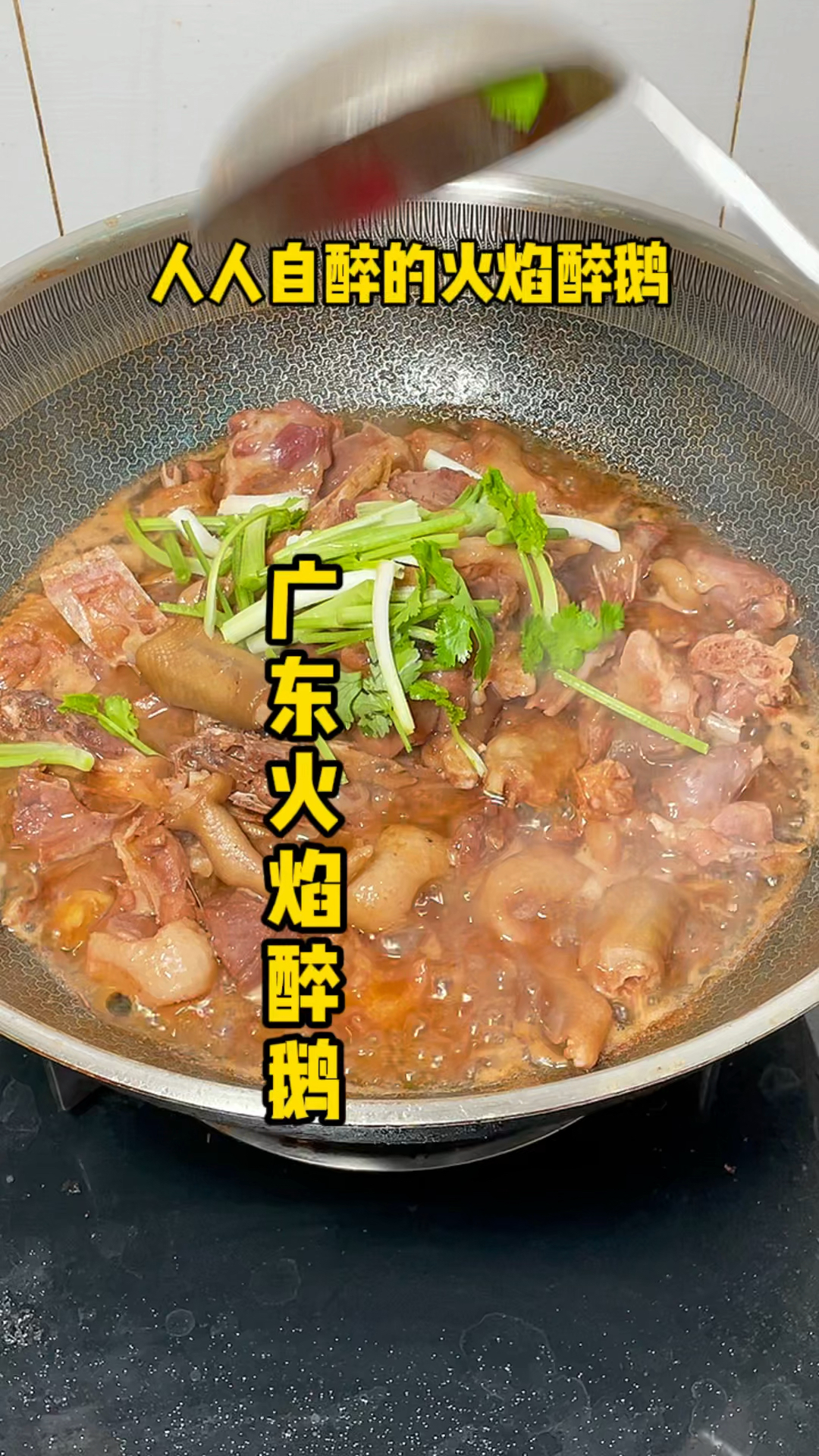 广东火焰醉鹅