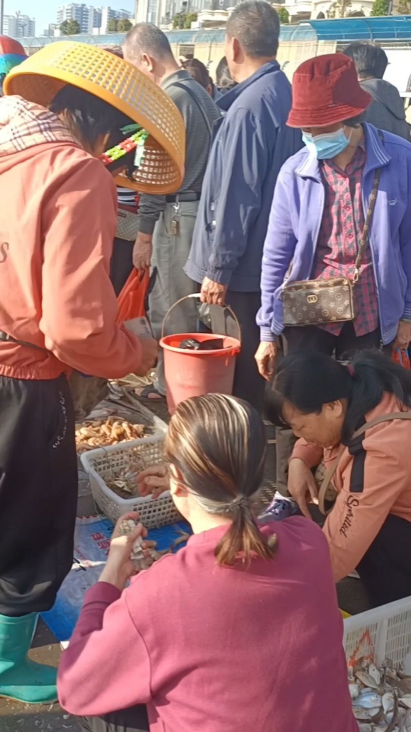 湛江近海捕小船回港,这种小杂鱼煲汤好喝,好受欢迎