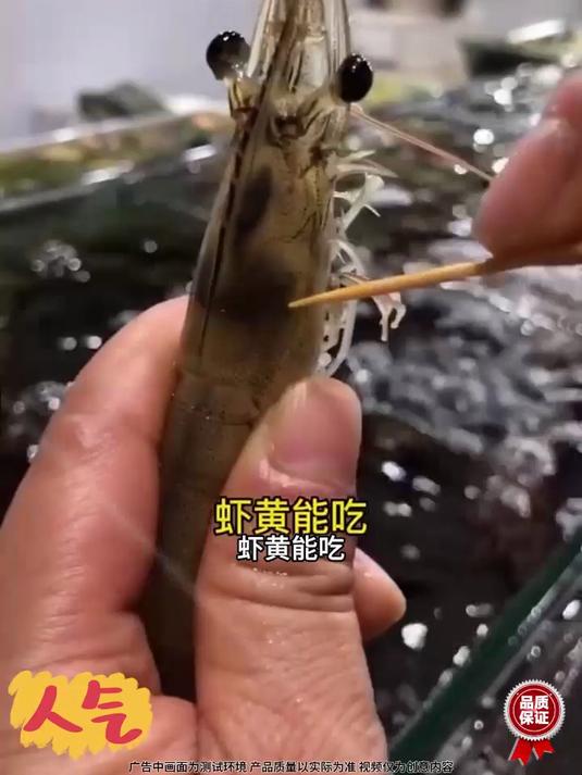 一招教你去虾线,虾脑,厨房实用小工具轻松解决您的厨房难题