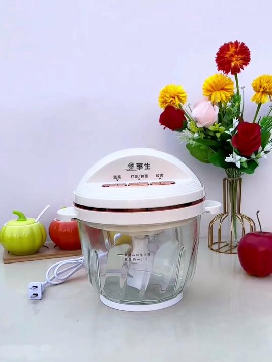 华生绞肉机机家用搅肉机电动和面多功能料理机