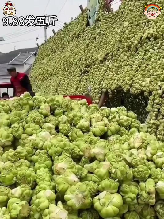 老坛慢腌榨菜头,脆爽入味,鲜香醇厚更地道